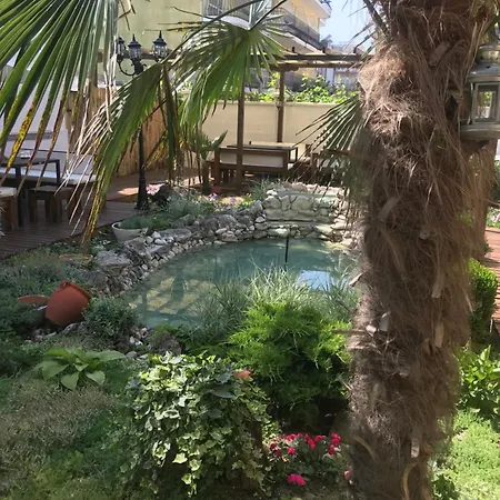 Yanis 3* Lozeneț